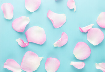 Rose flowers petals on pastel background. Valentines day background. Flat lay, top view, copy space.