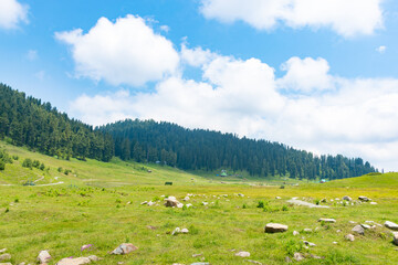 Fototapeta na wymiar Hills full of Rocks, Gulmarg, Jammu and Kashmir, India.