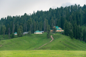 Gulmarg is a town, a hill station in summer time, a popular skiing destination of the Indian state of Jammu and Kashmir. It is a popular .tourist destination and hill station