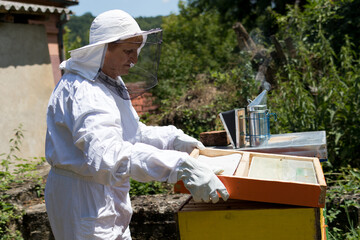 The beekeeper opens a bee hive in an apiary on a sunny summer day. A woman wears protective workwear. Beekeeping concept. Close up, selective focus