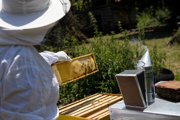 A beekeeper in protective clothes holds a bee hive frame on a sunny summer day in an apiary....