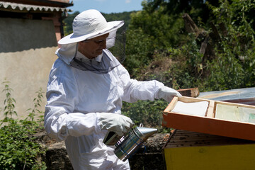 Beekeeper in protective clothing opens a hive and uses a smoker to calm the bees in an apiary on a...