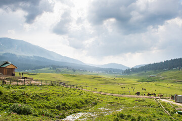 Beautiful Mountain Landscape Of Gulmarg Jammu And Kashmir State India.