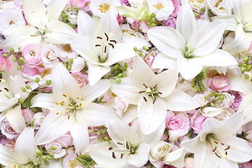 Delicate blooming festive white lilies (lilium flowers), blossoming bright flower background,...