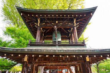 樹齢1200年を超える飛騨国分寺の大イチョウ（岐阜県高山市）