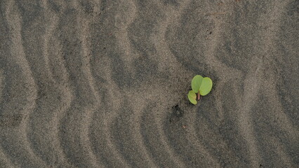 Sand texture background