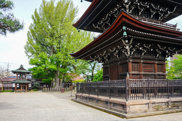 樹齢1200年を超える飛騨国分寺の大イチョウ（岐阜県高山市）