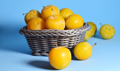  Fruit, yellow plum and in wicker basket. Blue background and copy space. 