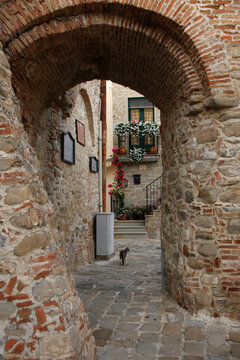 The town of Aliano with its typical house with eyes , Basilicata region, Italy 