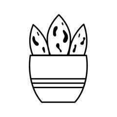 Hand drawn plant in the pot. Isolated vector illustration.