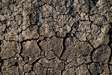 Cracked earth texture. Ground 