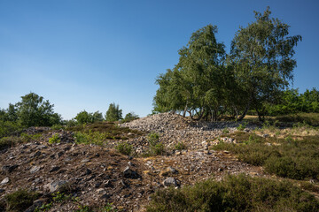 Hiwweltour Heideblick in Siefersheim