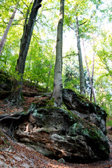 Beautiful day in the national park of Saxon Switzerland, near Dresden, Germany.