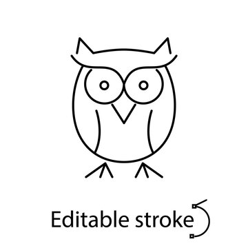 Owl line icon. Wild bird. Smart concept. Back to school design. Minimal pictogram. Isolated vector stock illustration