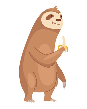 Sloth character eating banana. Cute cartoon sloth-bear character. Funny lazy animal, hand drawn clip art illustration. Jungle rainforest sloth. Tropical mammal or adorable sloth