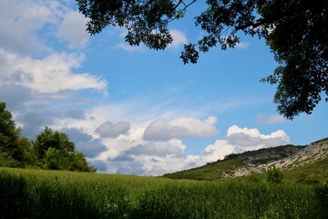Obraz premium landscape with clouds