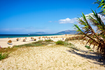 Fototapeta na wymiar Beach landscape with vegetation, beach umbrellas and mountains in the background in Tarifa, Cadiz