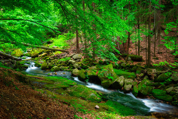 Fototapeta A beautiful mountain stream in the Karkonosze Mountains, Poland obraz