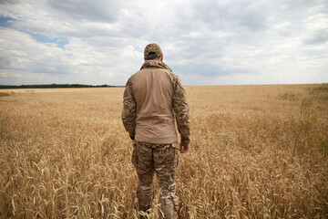 Naklejka na ściany i meble Ukrainian military man in wheat field. Ukrainian wheat fields and war upcoming food crisis. Armed Forces of Ukraine