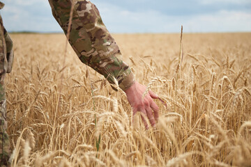 Ukrainian military man in wheat field. Ukrainian wheat fields and war upcoming food crisis. Armed...