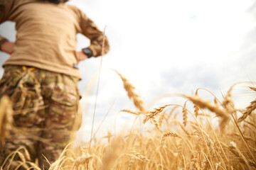 Ukrainian military man in wheat field. Ukrainian wheat fields and war upcoming food crisis. Armed...