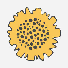 Stylized sunflower vector drawing with large flowers and buds on a branch, varied foliage. yellow and gray leaves. Botany for printing products from fabric, covers, paper, upholstery, curtains.