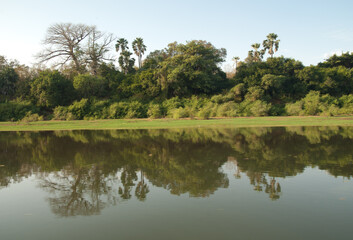 Fototapeta na wymiar Gambia River in Niokolo Koba National Park. Tambacounda. Senegal.