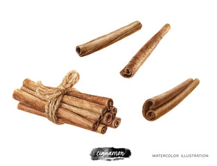 Cinnamon hand drawn watercolor illustration isolated on white background