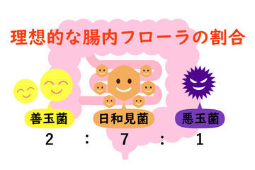 理想的な腸内細菌の割合を示す図。