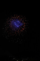 Fireworks over Knoxville, TN to celebrate fourth of July in 2022. Many colors and types are displayed. - obrazy, fototapety, plakaty