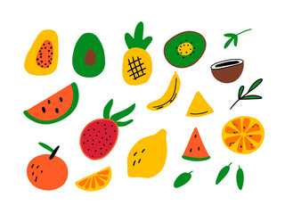 Set of colorful tropical fruits. Vector graphic ellements for poster, postcard, t shirt design. Hand drawn illustrations in doodle style. Collection of summer food