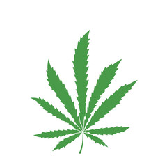 Cannabis leaf in doodle style. Hand Drawn. Freehand drawing. Sketch.