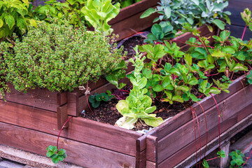 Selbtgebautes Etagenhochbeet für Kräuter