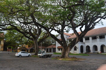 Obraz premium walking in galle