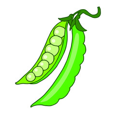 Green peas vector illustration isolated on white background.