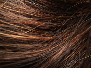 hair is dyed and needs treatment