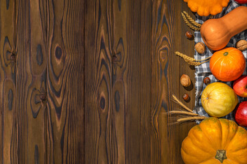 Thanksgiving day pumpkin harvest on a wooden background with empty copy space. Squash, orange vegetable autumn fruit, apples, nuts on a wooden table for traditional Halloween decoration fall design