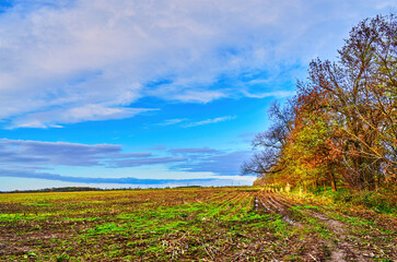 View to a harvested field that has dried up from the drought.