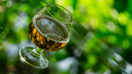 foamy beer in glass against the green background 