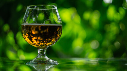 foamy beer in the glass against the background of leaves