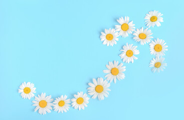 An arrow of chamomile flowers on a blue background.