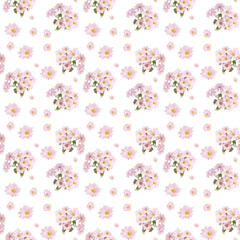 Seamless pattern of pink chrysanthemums. Flower composition.