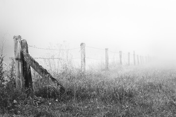 Barbed wire fence on a field on a foggy morning