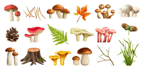 Mushrooms Forest Realistic Set - obrazy, fototapety, plakaty