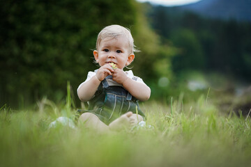 one year old blond german baby boy in bavarian dress with lederhose sitting outside on the meadow with a yellow flower to congratulate for birthday