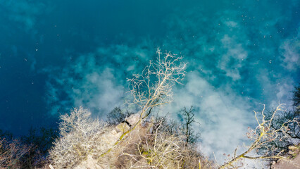 Fototapeta na wymiar aerial view of fallen tree on the shore of the lake