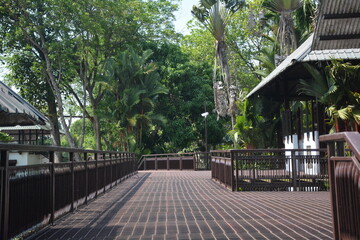 Beautiful landscapes and wildlife of India