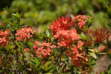 Beautiful landscapes and wildlife of India