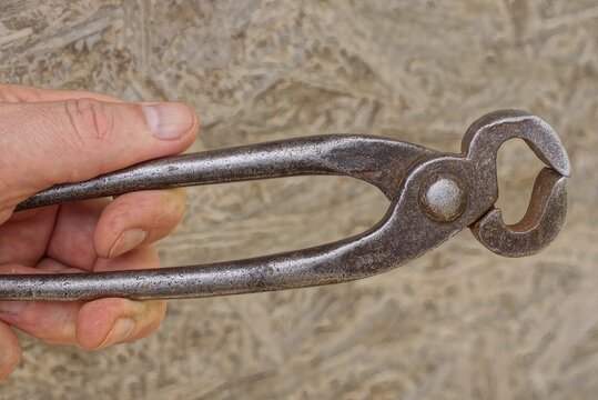 hand holding one iron wire cutter on gray background