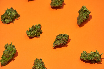 Set of green marijuana buds on orange background